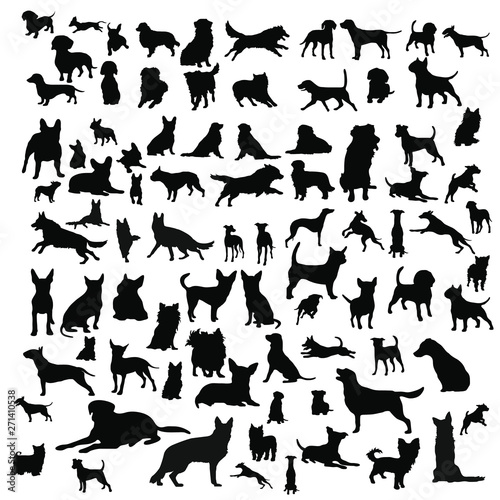 Dog Icons 