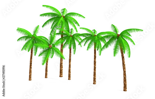 3D rendering - A tall coconut tree isolated over a white background use for natural poster or wallpaper design  3D illustration Design