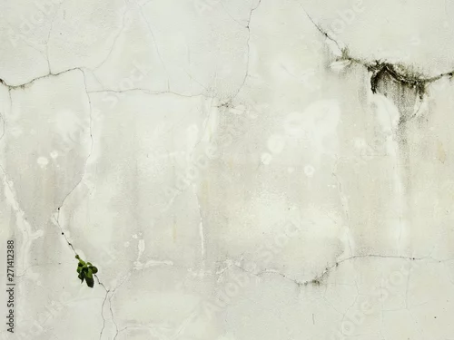 Obraz stara biała ściana z teksturą crack
