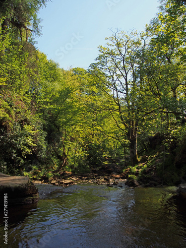 a view of the river and valley at lumb hole in woodland at crimsworth dean near pecket well in calderdale west yorkshire photo