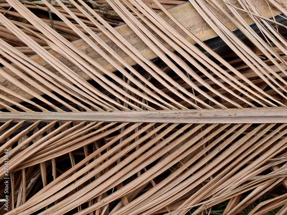 dry brown coconut leaf texture dry brown coconut leaf texture