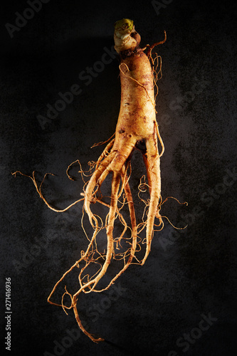 Korean ginseng root, Chinese herbal medicine