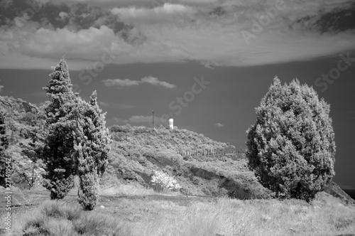 Lighthouse behind several cypress trees © Evg Y. Parkhaev