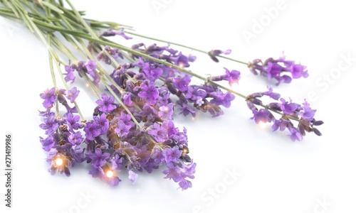 Fototapeta Naklejka Na Ścianę i Meble -  Bunch of lavender on white background