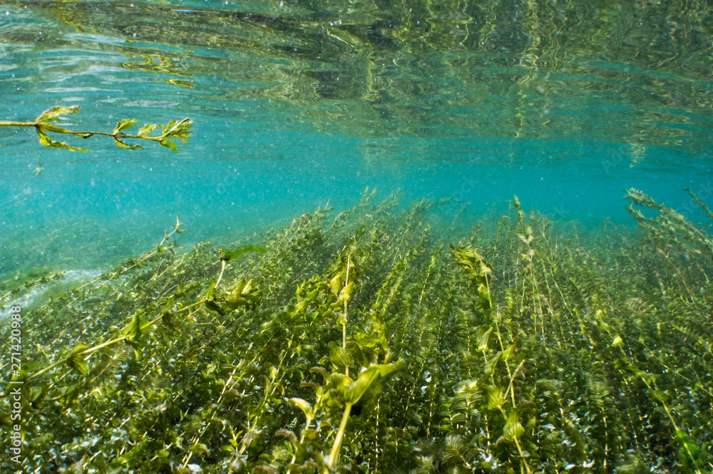 Rhein Underwater