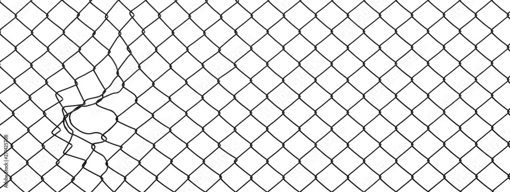 Fototapeta premium Decorative wire mesh
