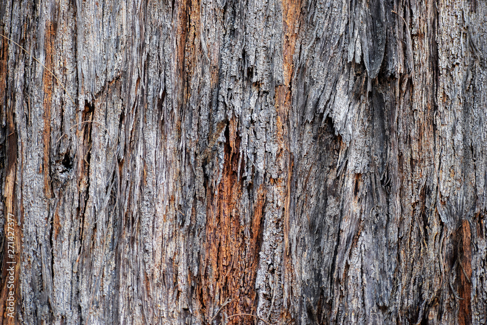 Tree Bark Skin 6