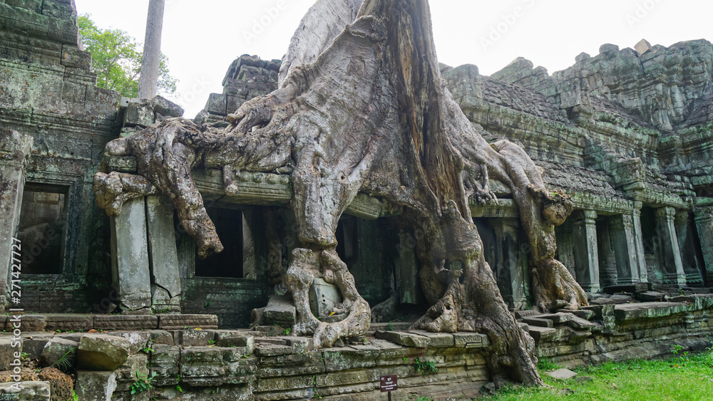 Massive tree root growing on the famous monument – Ta Prohm Temple, displaying the battle between nature and architecture. (Angkor Wat, UNESCO World Heritage Site, Siem Reap, Cambodia) Massive tree root growing on the famous monument – Ta Prohm Temple, displaying the battle between nature and architecture. (Angkor Wat, UNESCO World Heritage Site, Siem Reap, Cambodia)