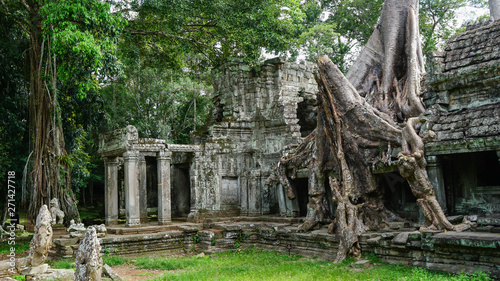 Massive tree root growing on the famous monument – Ta Prohm Temple, displaying the battle between nature and architecture. (Angkor Wat, UNESCO World Heritage Site, Siem Reap, Cambodia)