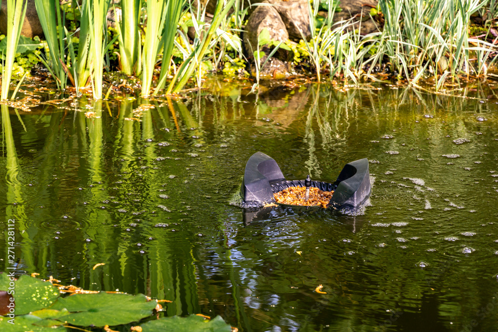 Fototapeta premium Plants are reflected in purified water. Skimmer floats on surface of water and collects leaves, dirt and other foreign objects from surface. Water around skimmer boils from air bubbles.