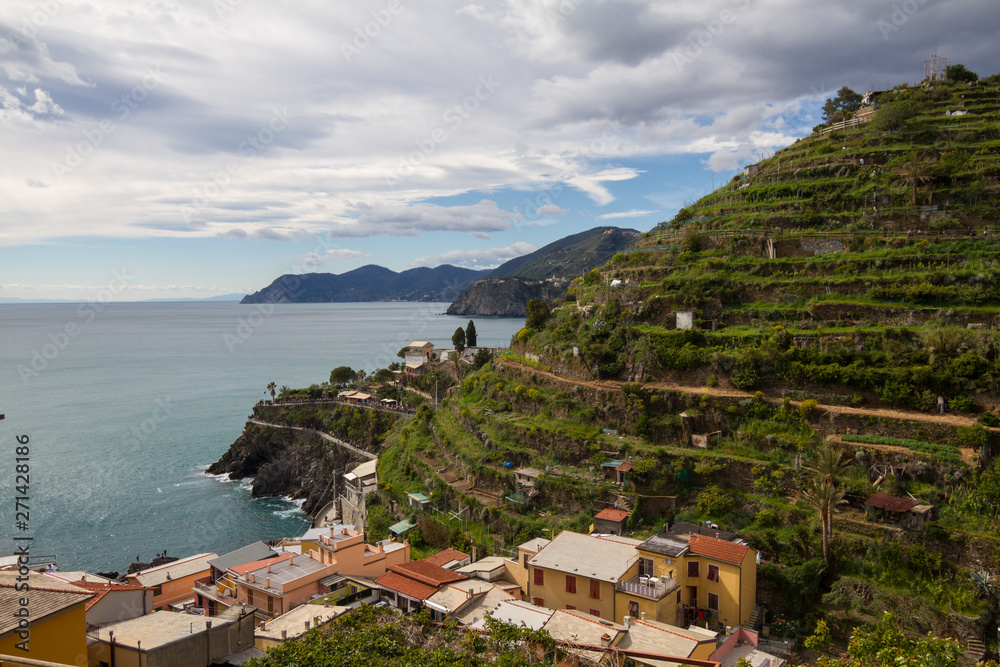 Corniglia / Italy - April 28 2019: View of the vineyards and cliffs surrounding Corniglia (Cinque Terre) from the nearby hiking trails.