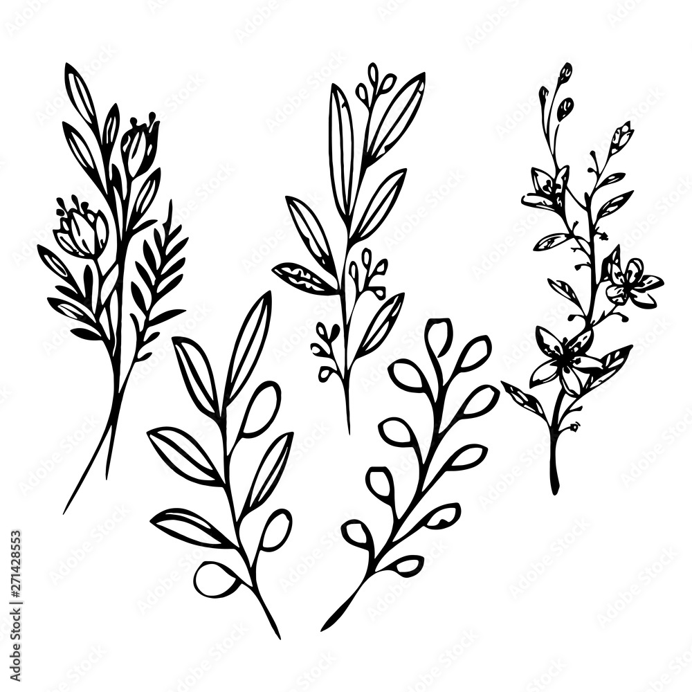 Fototapeta Flowers, bouquets and wreaths. Vector illustration hand drawing isolated on a transparent background