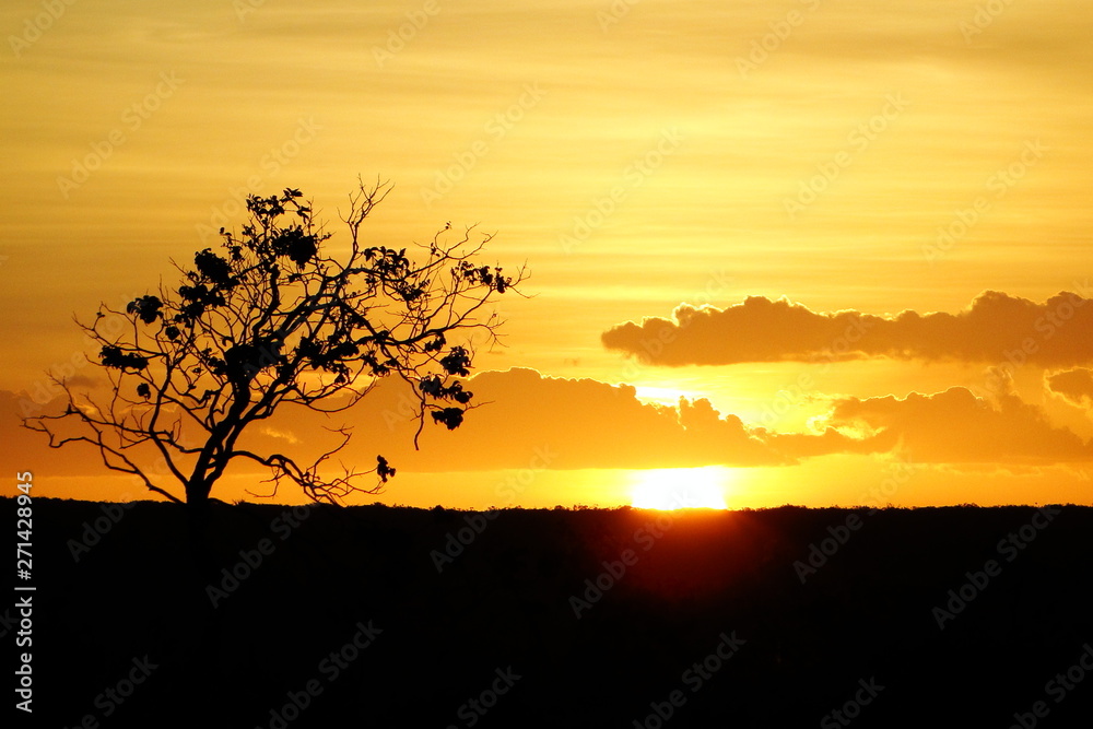 Pôr do Sol na Caatinga