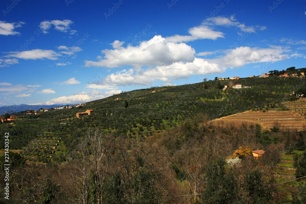 Green hills in Tuscany, Italy