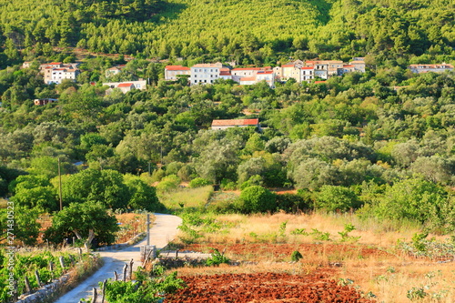 Village Babino polje on Island Mljet in Croatia photo