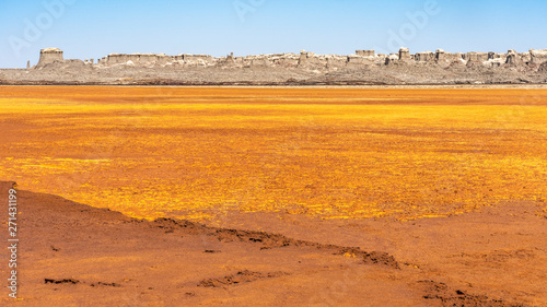 Acid and salty concretions in Dallol site in the Danakil Depression in Ethiopia, Africa