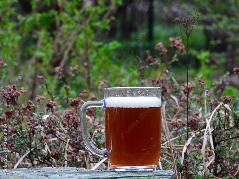Mug of beer on background of early spring garden in May Mug of beer on background of early spring garden in May