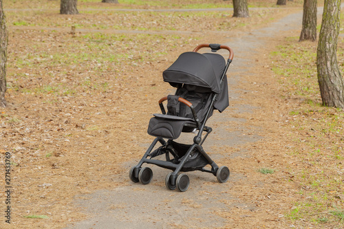 Beautiful baby carriage in the park. New design.
