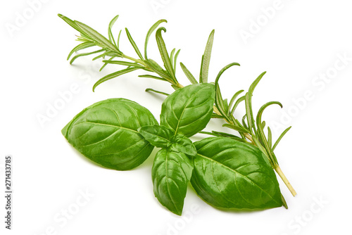 Fresh Green Basil Leaves with rosemary, close-up, isolated on white background