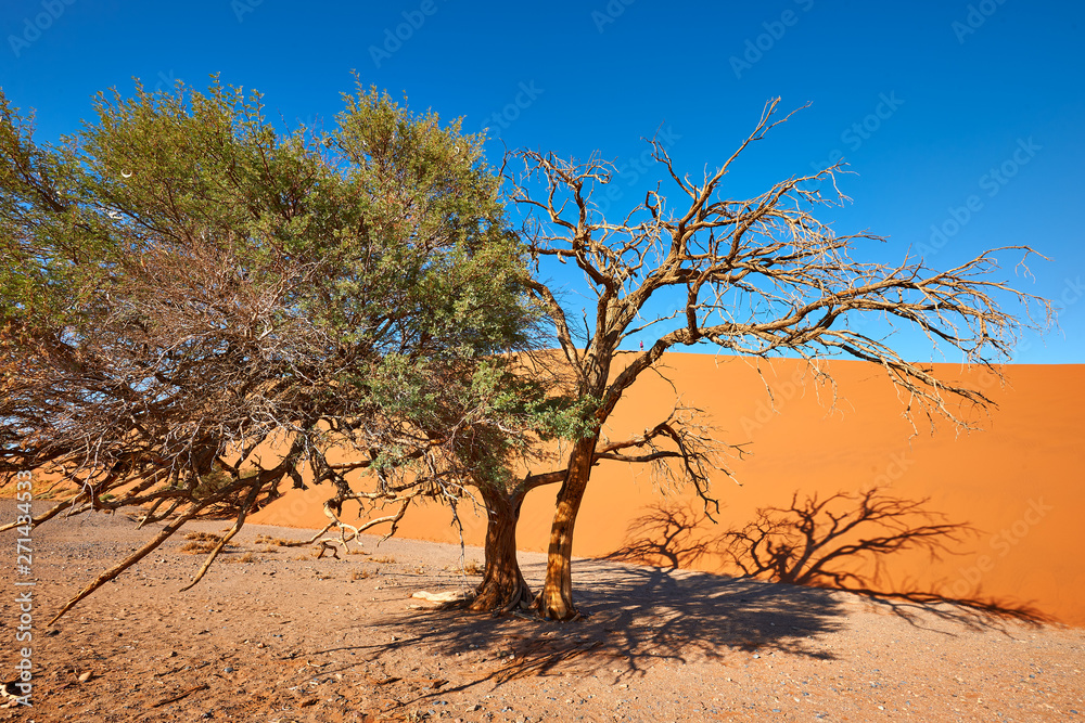 Namibian desert landscape Namibian desert landscape