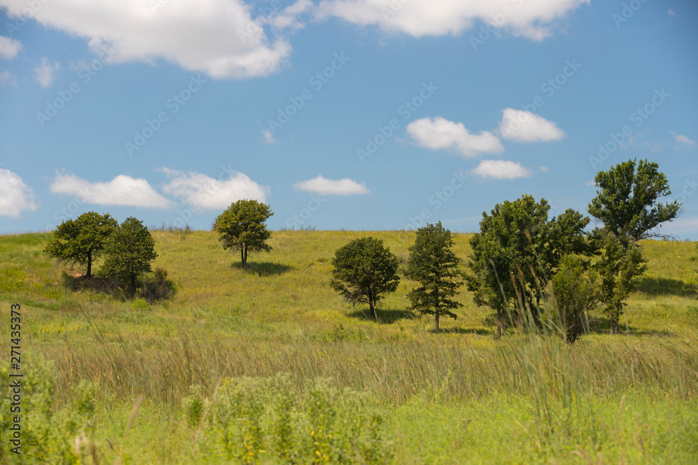 prairie landscape