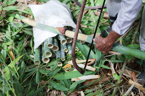 Finding bamboo (Buluh Lemang) for Eid Fitr preparation in Malaysia