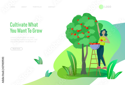 landing page with Harvesting and gardening people woman doing farming and garden job, planting, lay ripe apple from tree to box. Reaping crop concept
