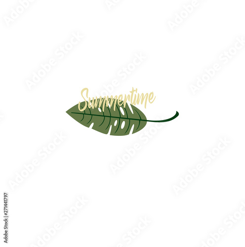 Summer vector logo tropical leaf closeup. Summer time - an exotic plant