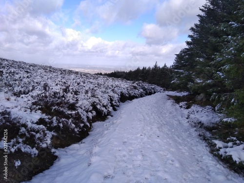 Photography road in winter