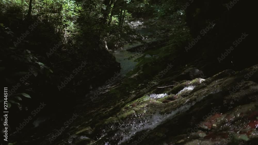 Mountain stream in the rainforest. Slow motion Mountain stream in the rainforest. Slow motion