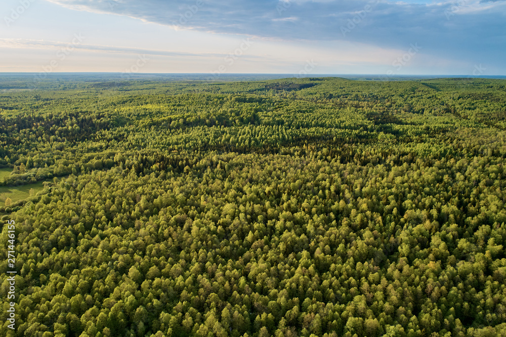 Aerial photography from the drone. Landscape with green forest