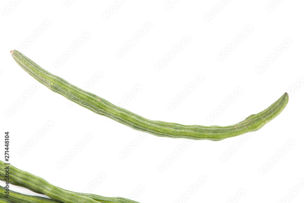 Fresh green Pods of Moringa oleifera, horseradish, drumstick tree, is a kind of local plant of Thailand. its medicinal properties and health benefits. Isolated on a white background Fresh green Pods of Moringa oleifera, horseradish, drumstick tree, is a kind of local plant of Thailand. its medicinal properties and health benefits. Isolated on a white background