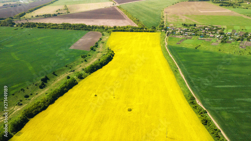aerial view of yellow rapeseed and green wheat fields and rural road in the middle. natural spring summer background. drone shot. Farmland from above