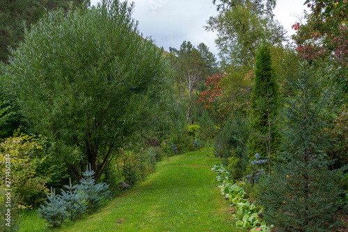 Decorative path in a beautiful garden