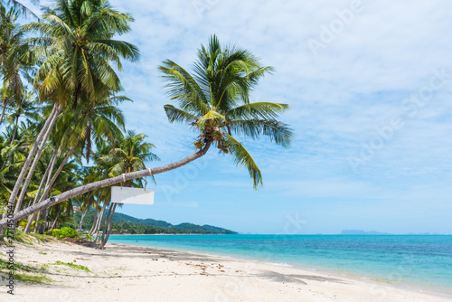 Beautiful tropical beach with palm trees © Nopphon