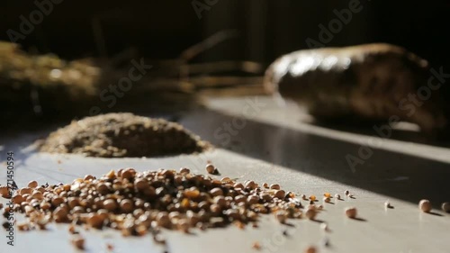 natural wholegrain healthy food for farming meat