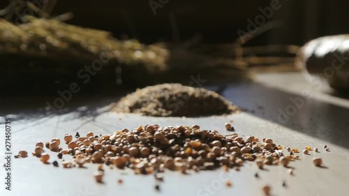 premium quality certified organic and natural feed for cattle, animal feed