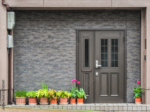 Obraz na plátně Gray front door with small square decorative windows and flower pots in fron of