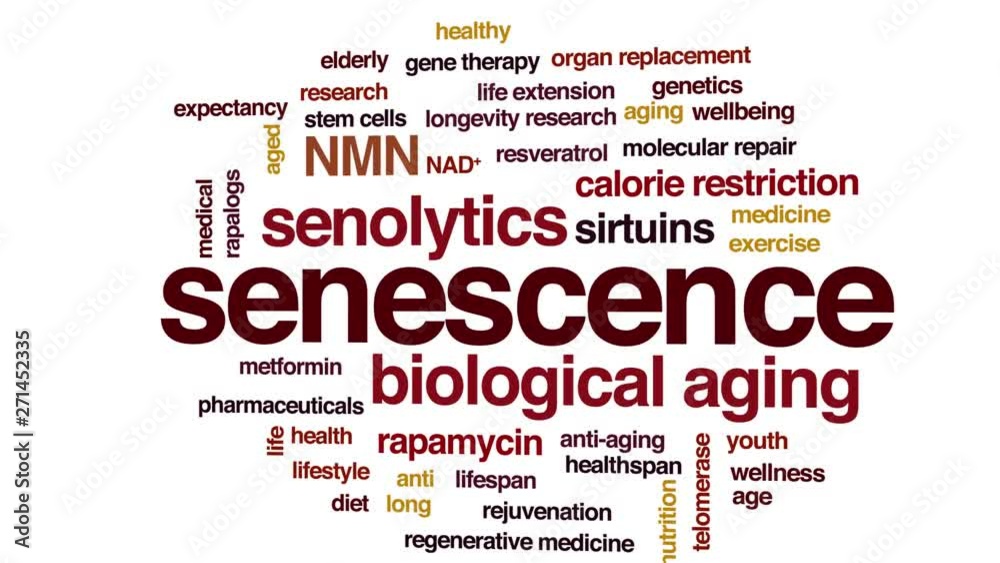 Senescence animated word cloud. Kinetic typography. Senescence animated word cloud. Kinetic typography.