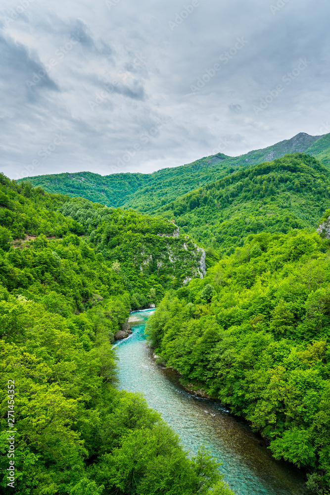 Montenegro, Turquoise clean water of moraca stream flowing through green paradise nature landscape of famous moraca canyon