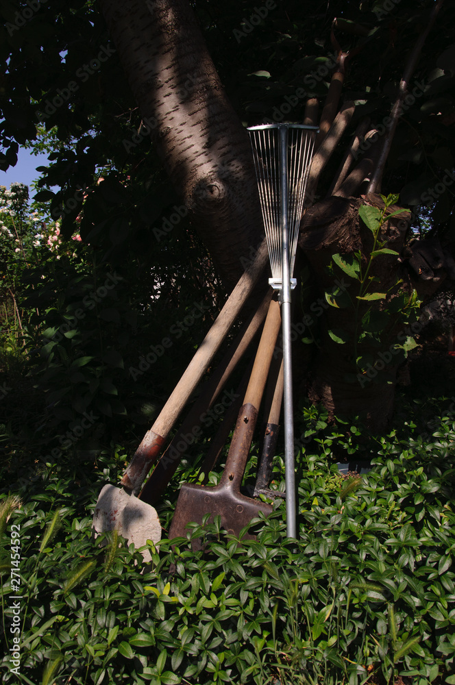 Obraz premium In the garden - tools for the garden. Background
