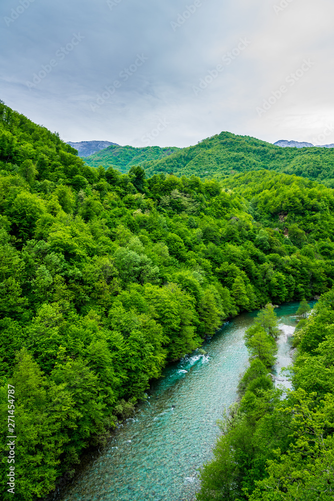 Montenegro, Mountainous green forest covered nature landscape surrounding turquoise waters of moraca river in famous moraca canyon