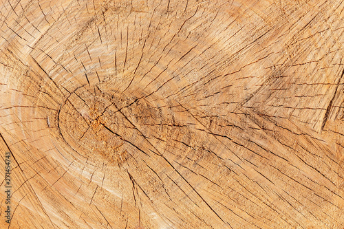 The texture of freshly cut wood. Annual rings and cracks in the old tree. Horizontal seamless wooden background. Texture in high resolution. Color image.