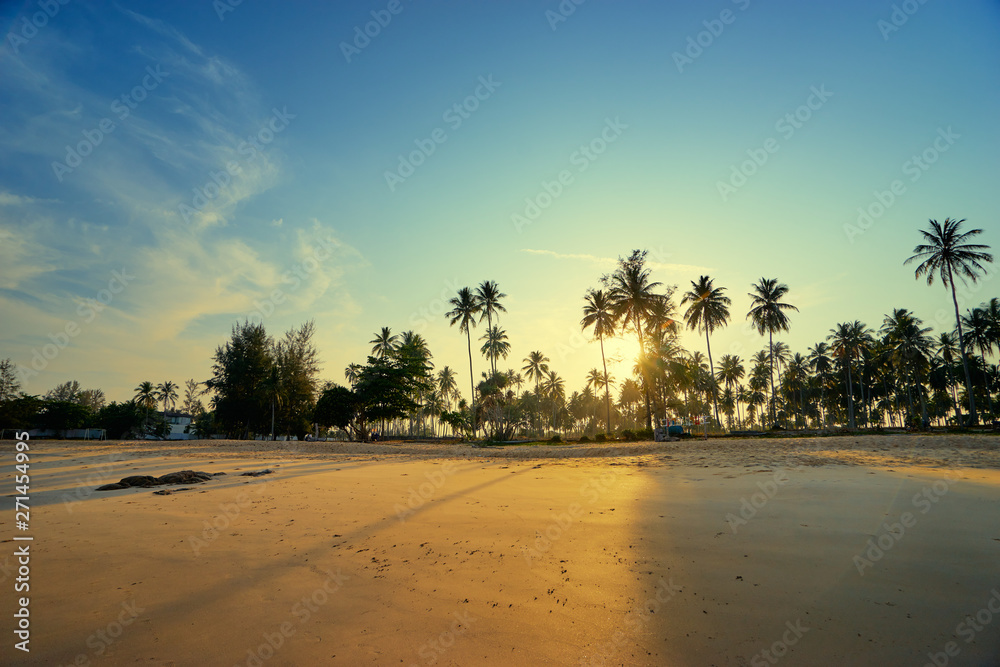 Sunny day on the tropical beach with coconut palm trees.