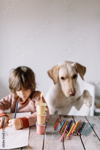boy with dog playing, friendship dog, human and dog, little boy, 