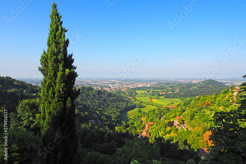 Lombard panorama  landscape with cypress tree. View towards padan plain. Near Bergamo, Italy. photo