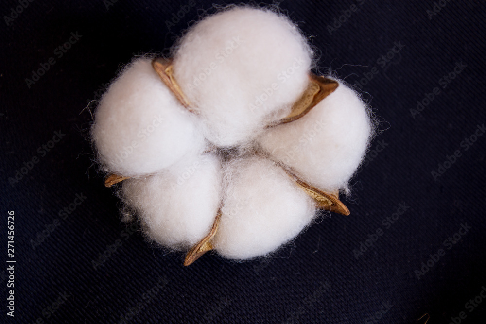 Artificial white cotton on a dark background Artificial white cotton on a dark background