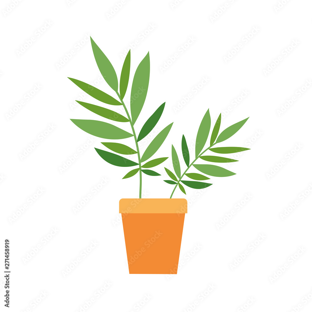 Fototapeta premium houseplant with potted isolated icon
