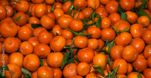 Beautiful Fresh mandarin Fruit