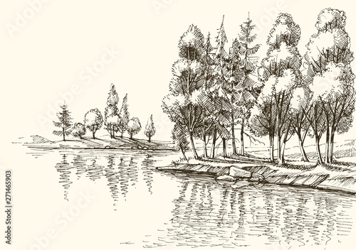 Trees on lake shore or river bank vector drawing
